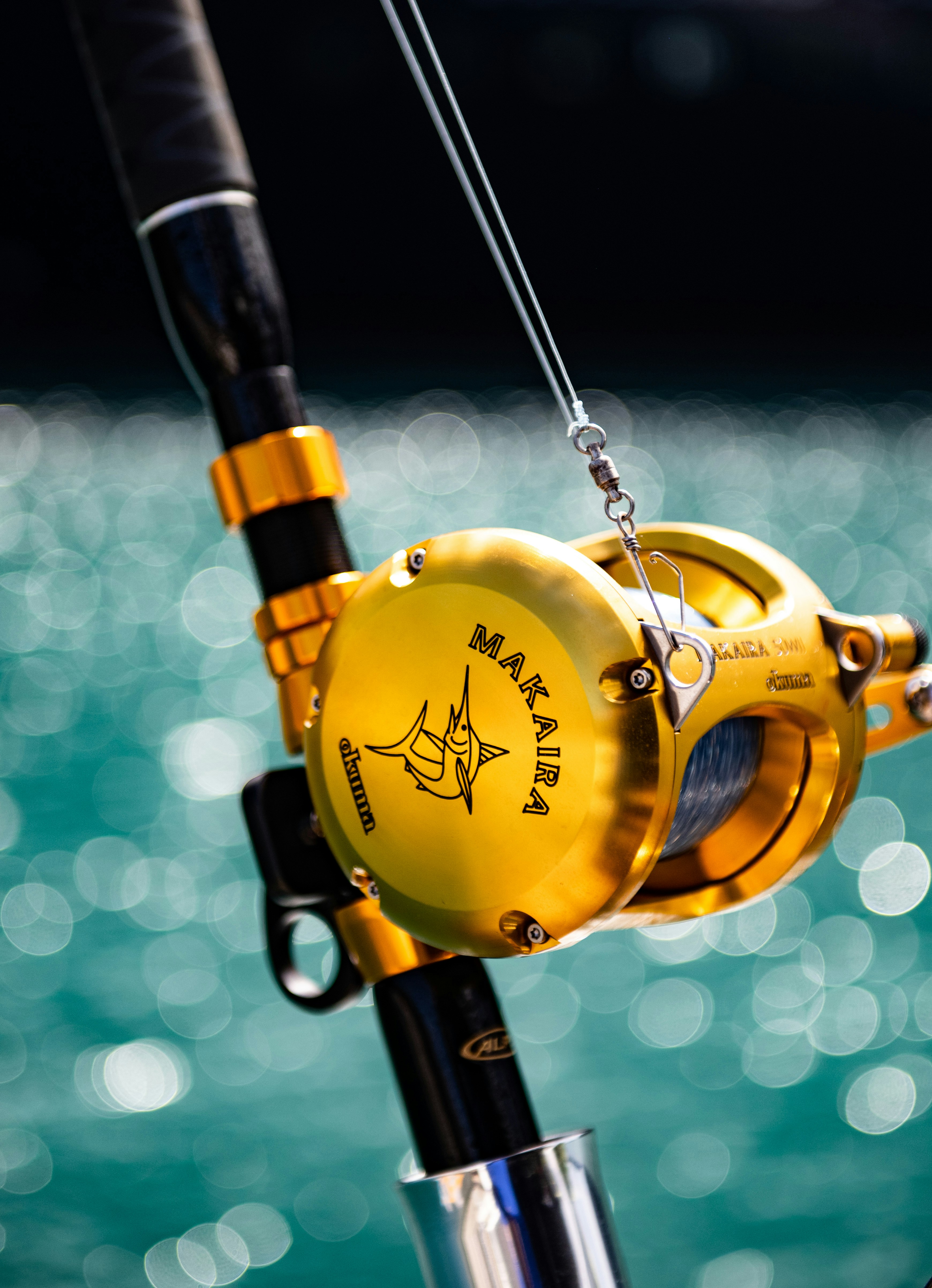 Fishing Experience